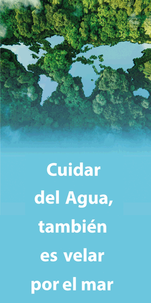 300x600-global-omnium-otro
