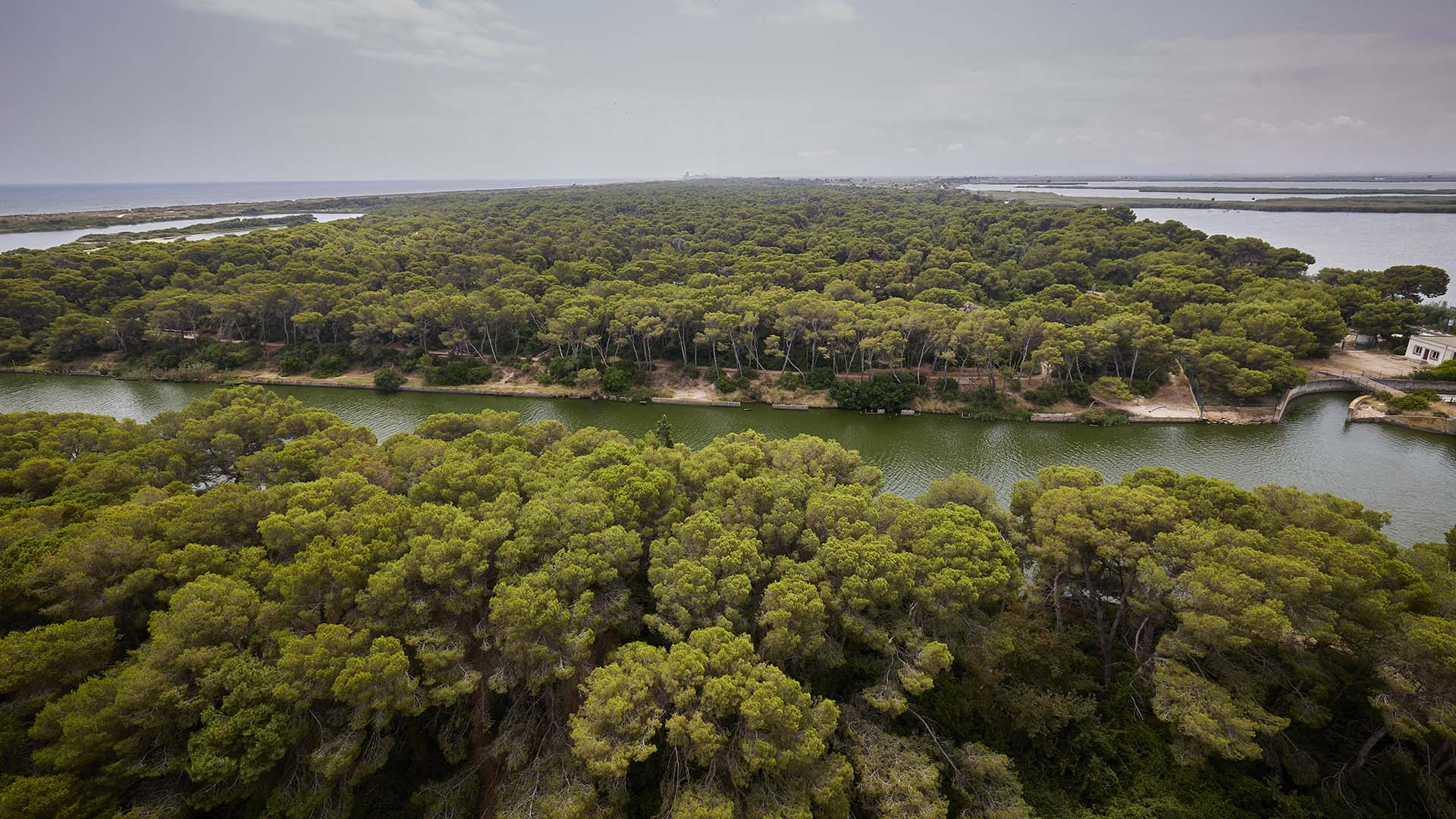 Reportaje sobre el mal estado y el riesgo de incendio que tiene el bosque de la Devesa