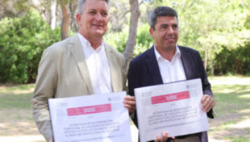mazon y martinez mus