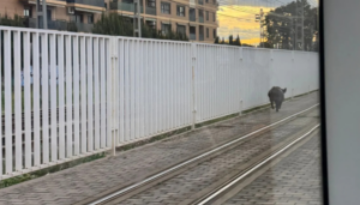 PLANTILLA FOTOS WEB esRadio (67)