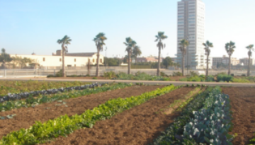 esradiovalencia.com